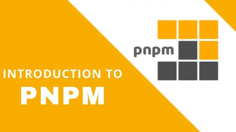 PNPM - Overview